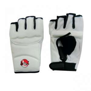 Guantilla Taekwondo Okami