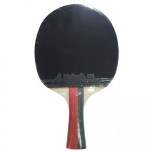 Paleta Tenis de Mesa Xushaofa T1008