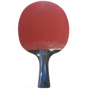 Paleta Tenis de Mesa Xushaofa T2008