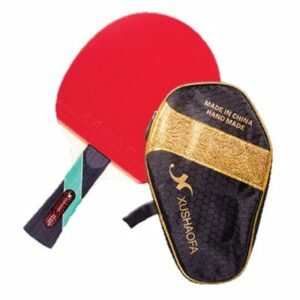 Paleta Tenis de Mesa T6008